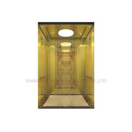 SN-CD Reihen-Passagier-Aufzug-Entwurfs-Furnierholz-Wand-Glasspiegel
