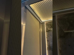 Beobachtung / Panorama-Hochgeschwindigkeitslift Multi-Modell für Passagiere